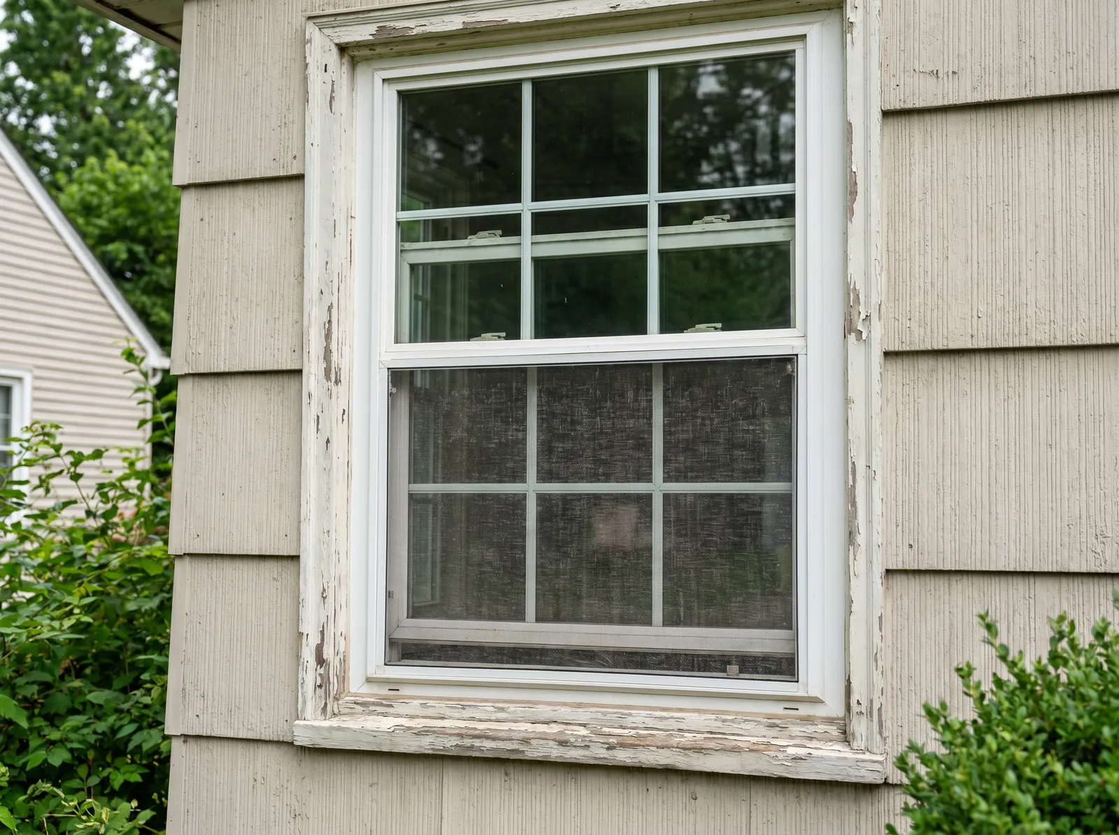 Double Hung Window St. Louis